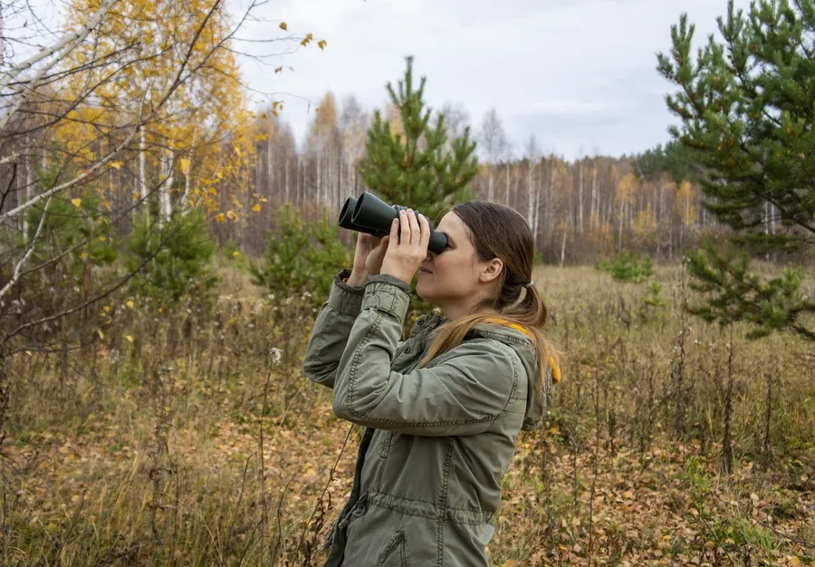 Nuori nainen pitää kiikareita silmiensä edessä ja tarkkailee ympäröivää luontoa syksyisessä metsässä, jossa on keltaisia lehtiä ja puita.