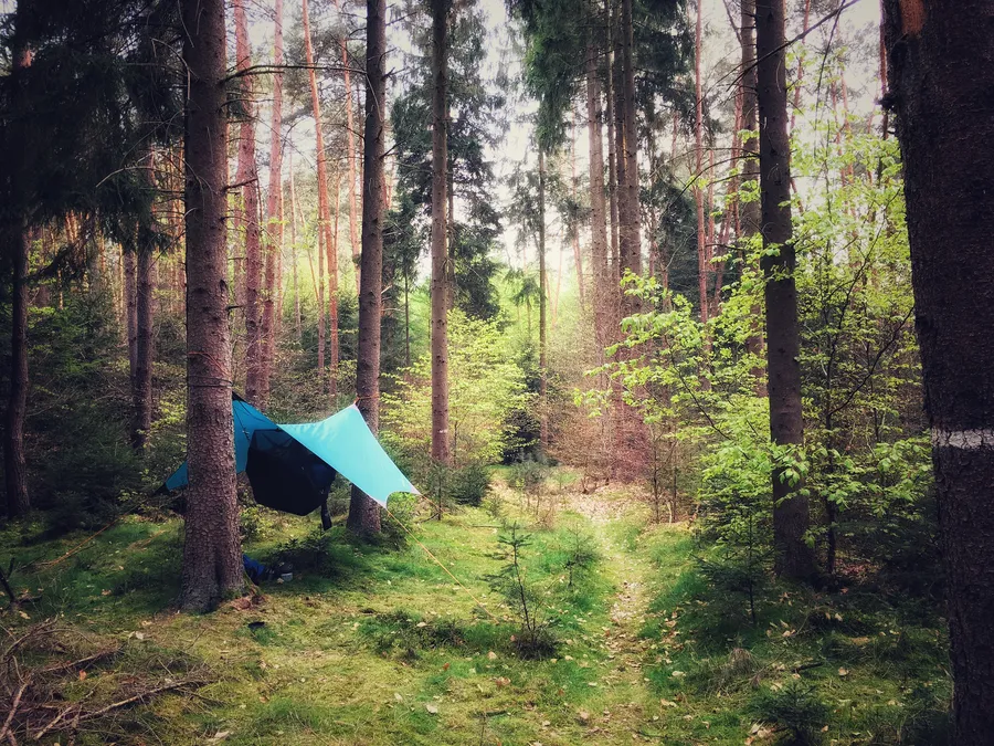 Sininen riippumatto pingotettuna puiden väliin vehreässä metsässä, joka kutsuu rentoutumaan luonnon äärellä.